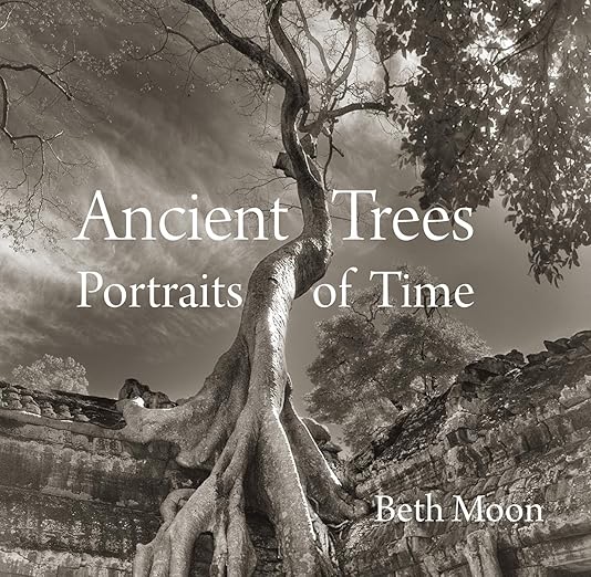 Ancient Trees: Portraits of Time - Beth Moon